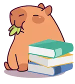 capybara learning