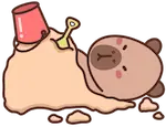 capybara sensory